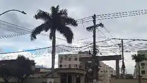 Apartamento - Rio De Janeiro, RJ