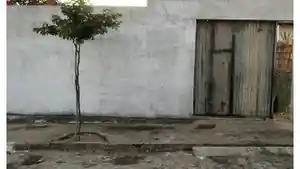 Casa - Ceara-Mirim, RN