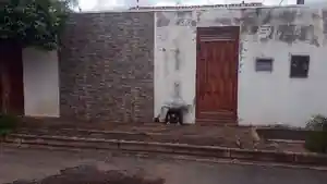 Casa - Cuiaba, MT