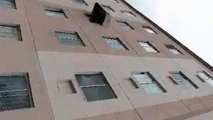 Apartamento - Camacari, BA