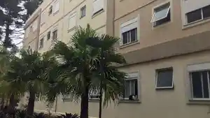 Apartamento - Curitiba, PR