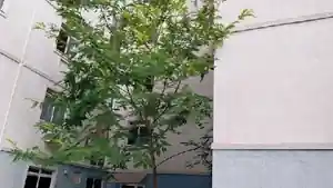 Apartamento - Mesquita, RJ