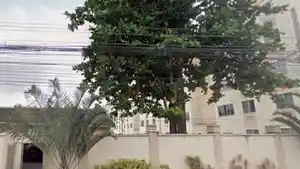 Apartamento - Rio De Janeiro, RJ