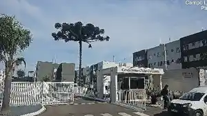Apartamento - Campo Largo, PR