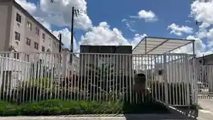 Apartamento - Paulista, PE