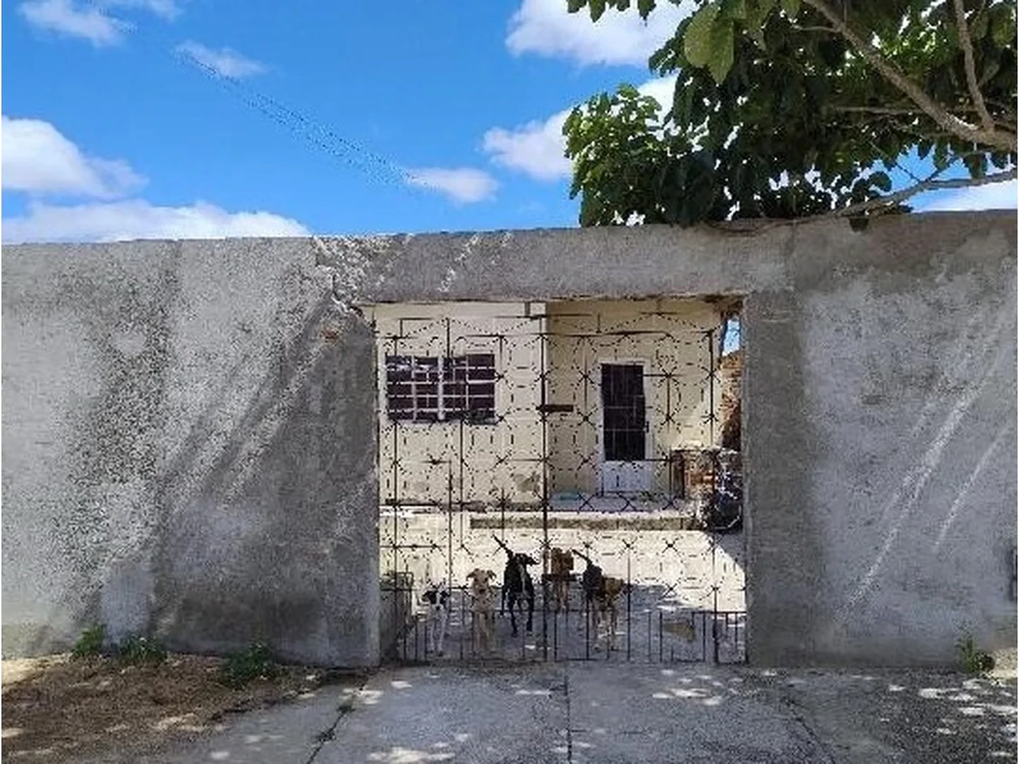Casa - Campina Grande, PB - foto 1