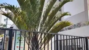 Apartamento - Sao Goncalo, RJ