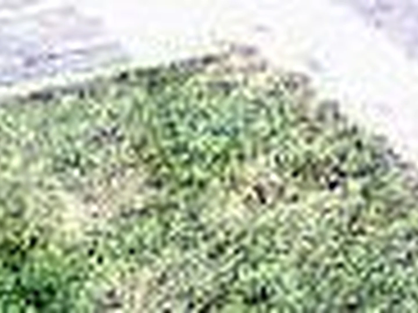 Apartamento - Sao Goncalo Do Amarante, RN - miniatura 2
