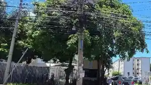 Apartamento - Rio De Janeiro, RJ