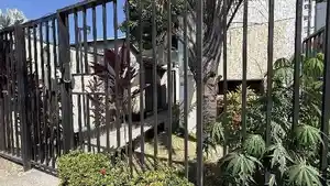 Apartamento - Sao Goncalo, RJ