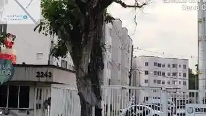 Apartamento - Rio De Janeiro, RJ