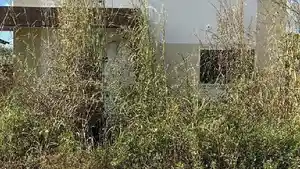 Casa - Teresina, PI