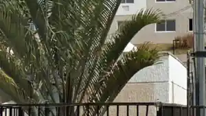 Apartamento - Sao Goncalo, RJ