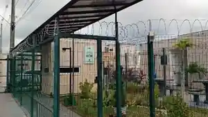 Apartamento - Salvador, BA