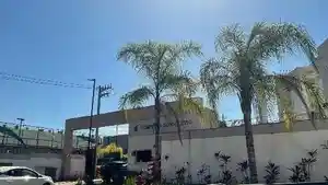 Apartamento - Rio De Janeiro, RJ