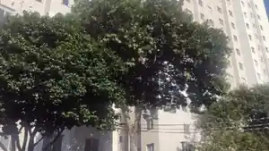 Apartamento - Sao Paulo, SP
