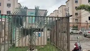 Apartamento - Rio De Janeiro, RJ