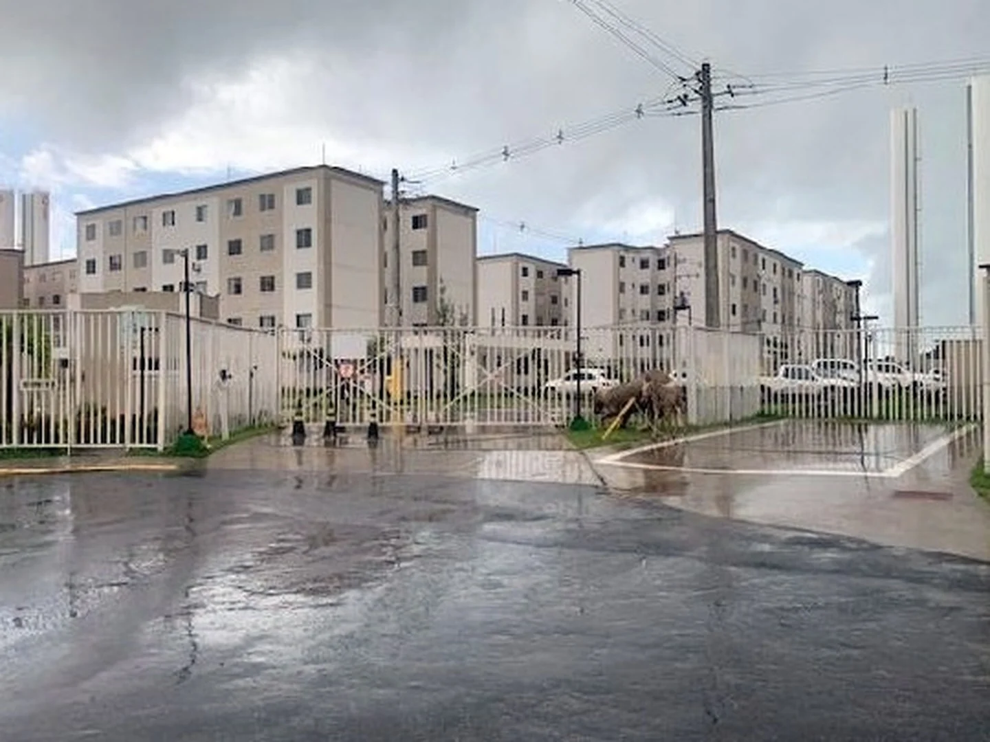Apartamento - Jaboatao Dos Guararapes, PE - foto 1