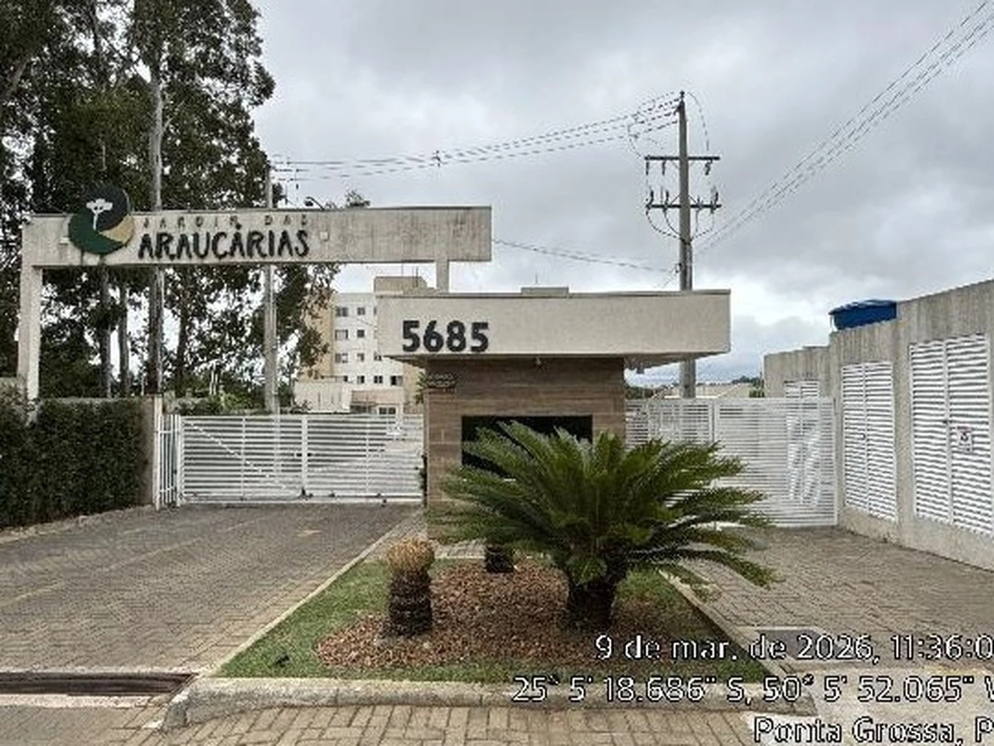 Apartamento - Ponta Grossa, PR - foto 1