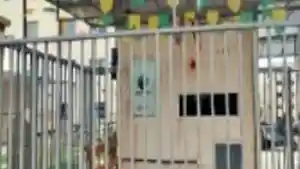 Apartamento - Camacari, BA
