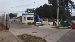Apartamento - Pelotas, RS