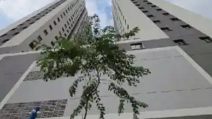 Apartamento - Diadema, SP