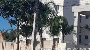 Apartamento - Campos Dos Goytacazes, RJ