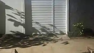 Casa - Belo Jardim, PE