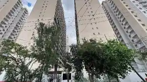 Apartamento - Sao Paulo, SP